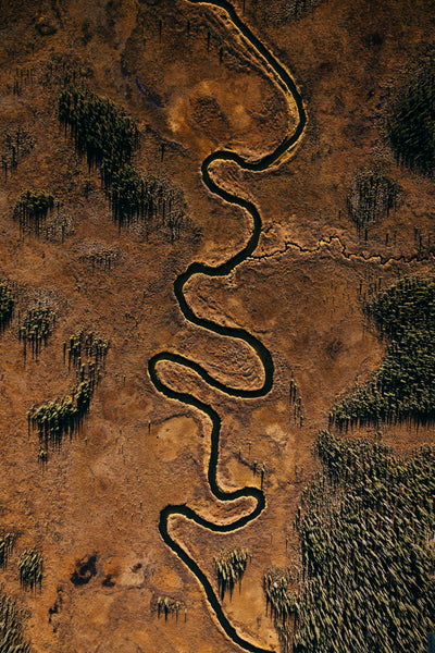IDAVAIN – JEREMY KORESKI GALLERY