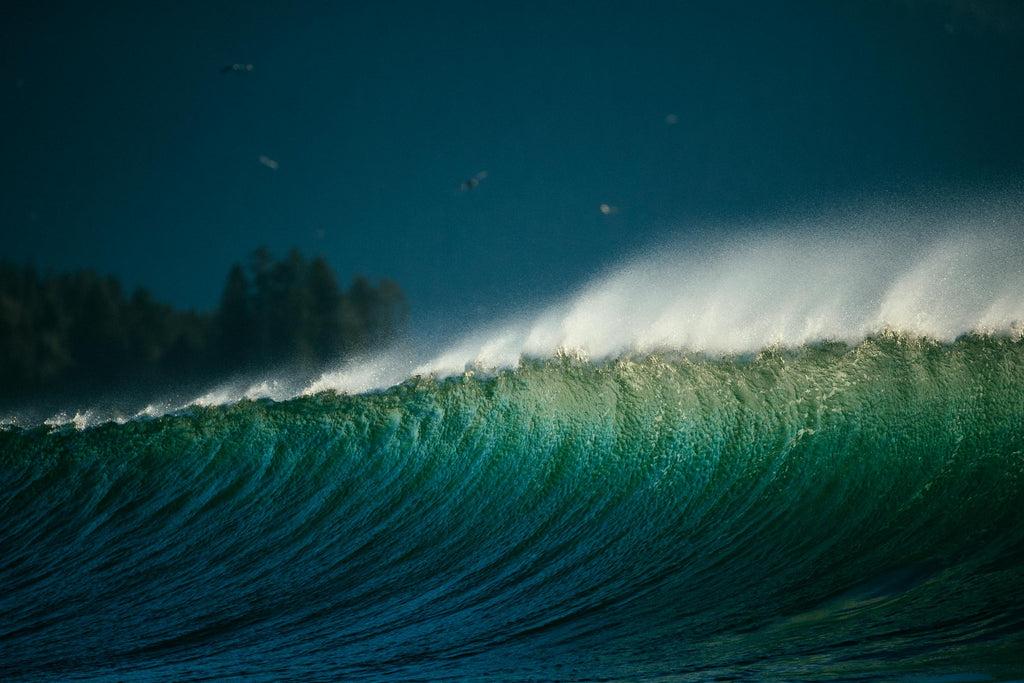 FIRST LIGHT