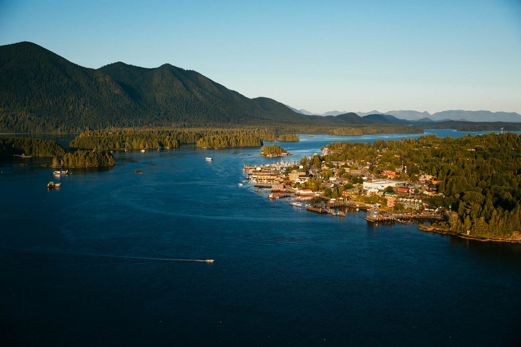 LOOKING SE OVER TOFINO