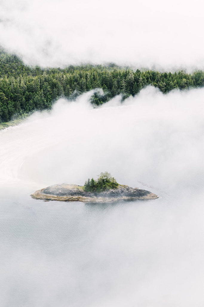 VANISHING COAST