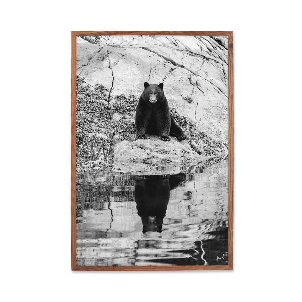 FORTUNE BEAR