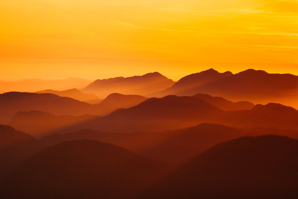 INTO THE HILLS