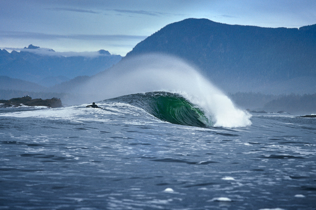 LIMITED EDITION - VELVIA LINEUP - 30/100 - 24x36 INCHES
