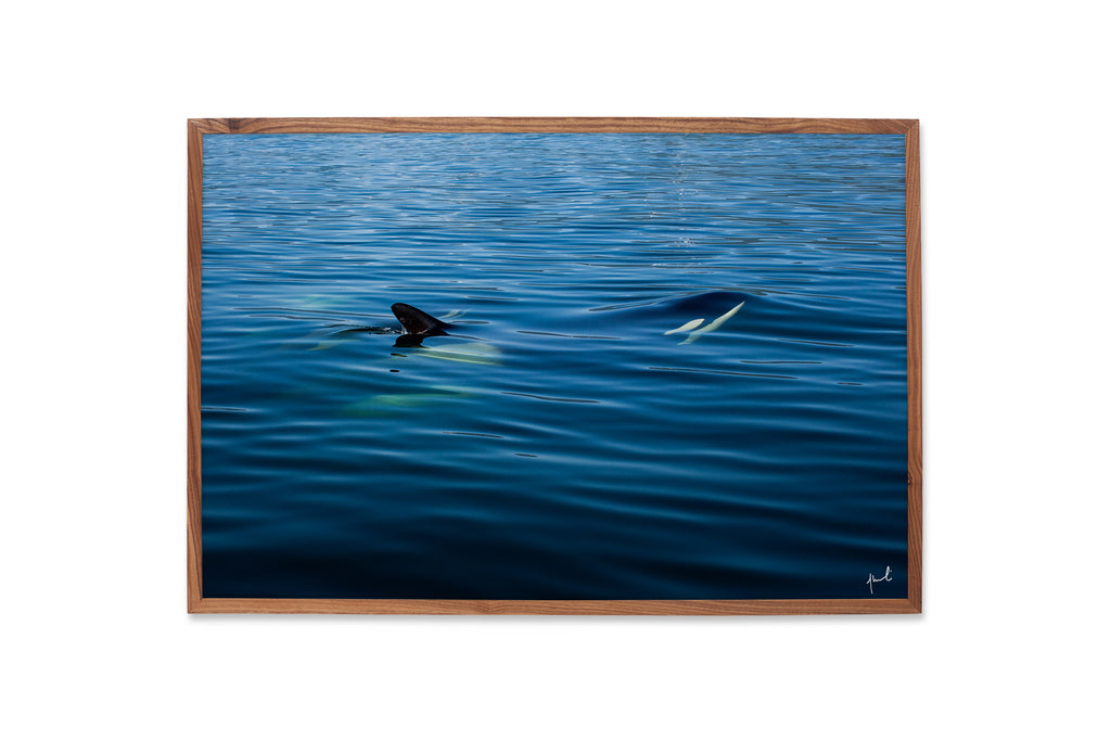 SURFACE TENSION