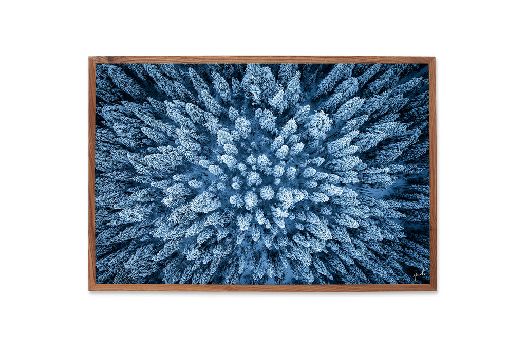 COLD GROWTH HORIZONTAL