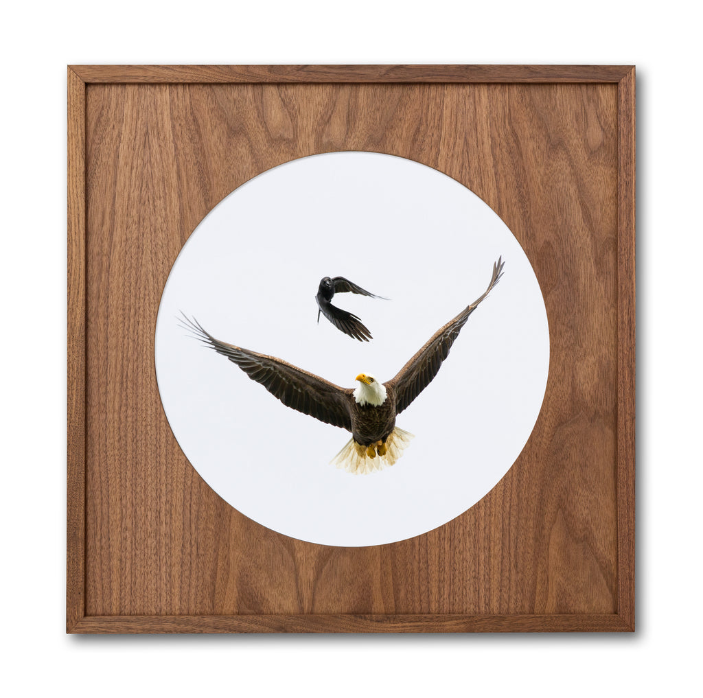 EAGLE CROW CIRCLE FRAME