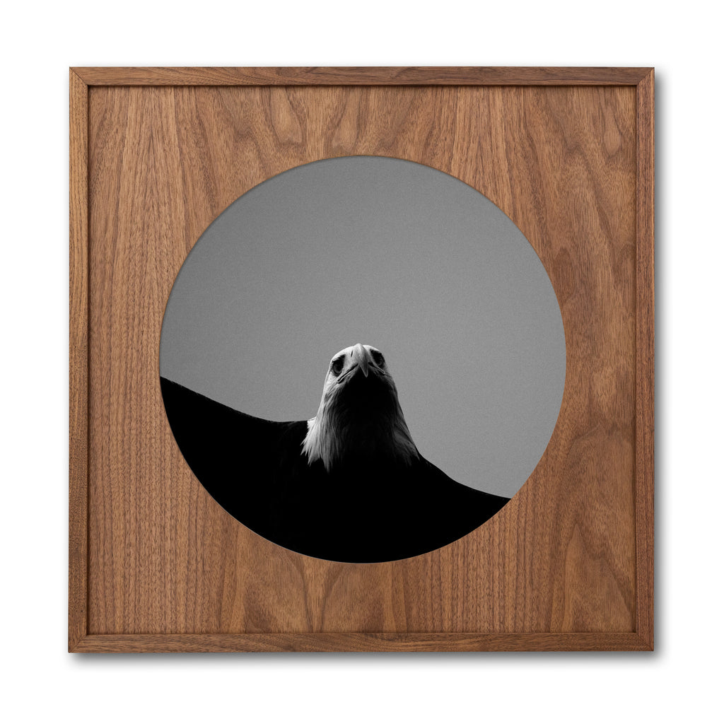 EYEROAM CIRCLE FRAME