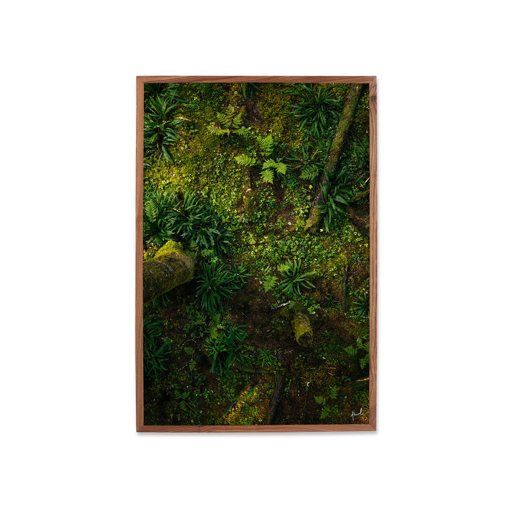 FOREST FLOORING