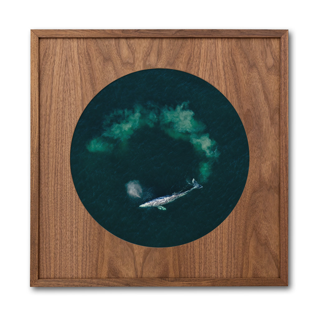 GRAY CIRCLE CIRCLE FRAME