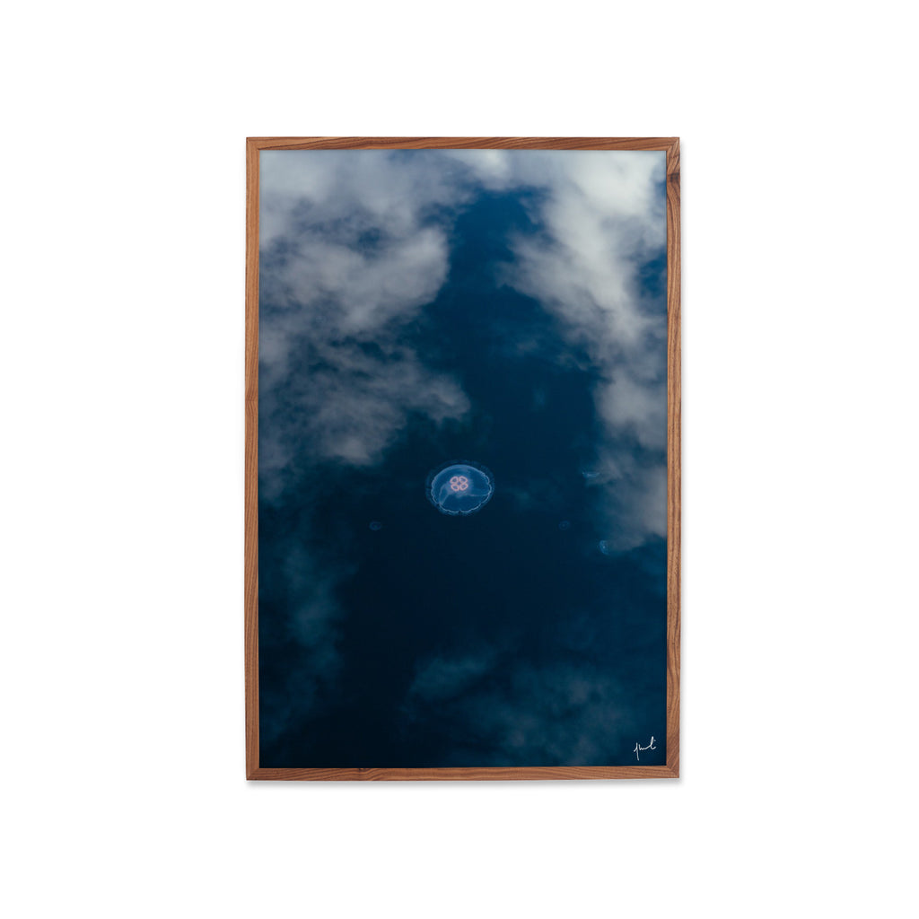 SWIMMING IN THE CLOUDS